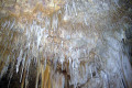 49-Speleothems-on-cave-ceiling