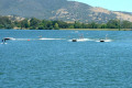 Eildon-Pondage-regatta