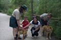Healsville-Sanctuary-patting-dingo