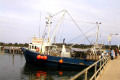 Lakes-Entrance-buying-prawns