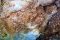 36-Fossilized-sea-shells
