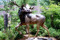 006-NWT-landmark