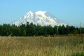 015-Mt-Rainier-from-Spanaway