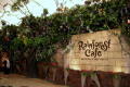 049-Seattle-Rainforest-Cafe-1