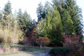 026-Autumn-at-Angels-23-10