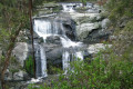 Agnes-Falls-2008-VIC