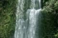 Beauchamp-Falls-2005-VIC