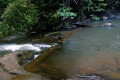 Nice place to swim they say......