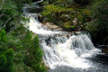Halls-Falls-2009-TAS