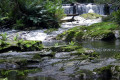 Halls-Falls-2009-base-of-falls-TAS