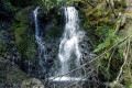 Hogarth-Falls-2007-Peoples-Park-Strahan-TAS