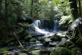 Horseshoe-Falls-2009-Mt-Field-National-Park-TAS
