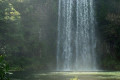 Millaa Millaa falls.