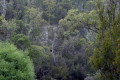 Montana-Falls-2007-41-South-Salmon-Farm-Montana-TAS
