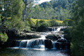 Pencil-Pine-Cascades-2009-Cradle-Mtn-NP-TAS