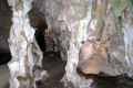 11-Dry-column