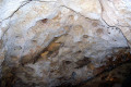 26-Avens-in-ceiling-of-dome-chamber