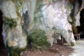 39-Damp-green-formations