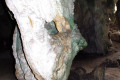 41-Unusual-damp-column